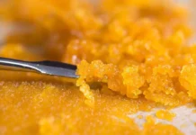 The Rise of Live Resin Concentrates in California