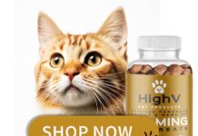 How To Get A Fabulous Pet CBD On A Tight Budget